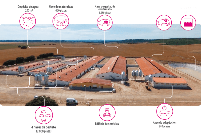 Granja-agromezquita Kellervet Bog K