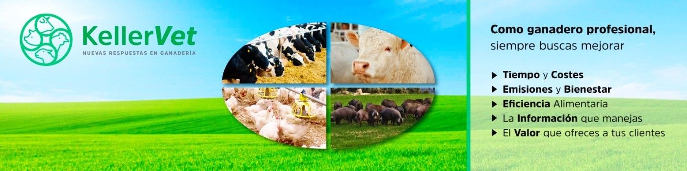 Juan Antonio Vallés - perfil LINKEDIN