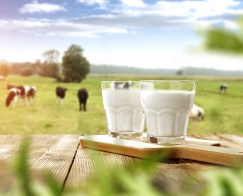 ¿Qué pago por 1 litro de leche?-Kellervet blog