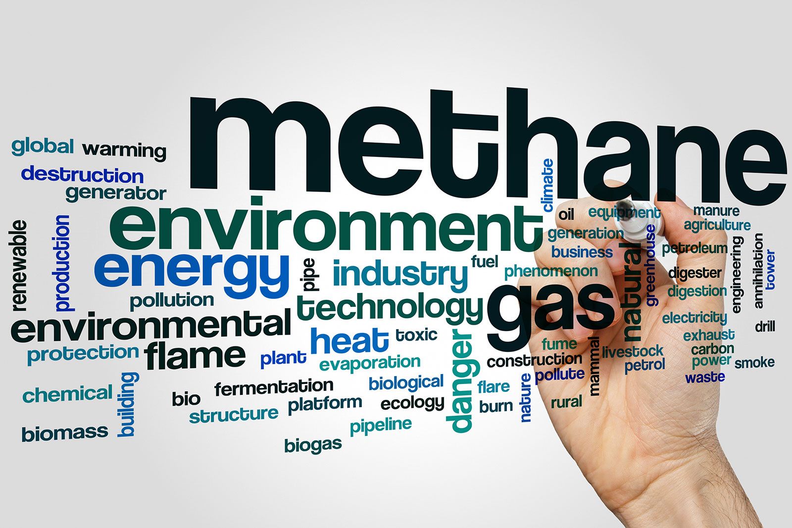 Reducir el Metano en los Rumiantes-Una buena oportunidad